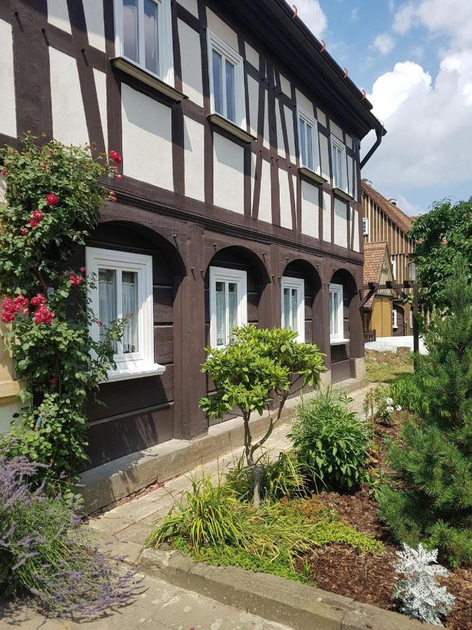 Fewo Niedere Muehlwiese Apartment Großschönau Exterior foto