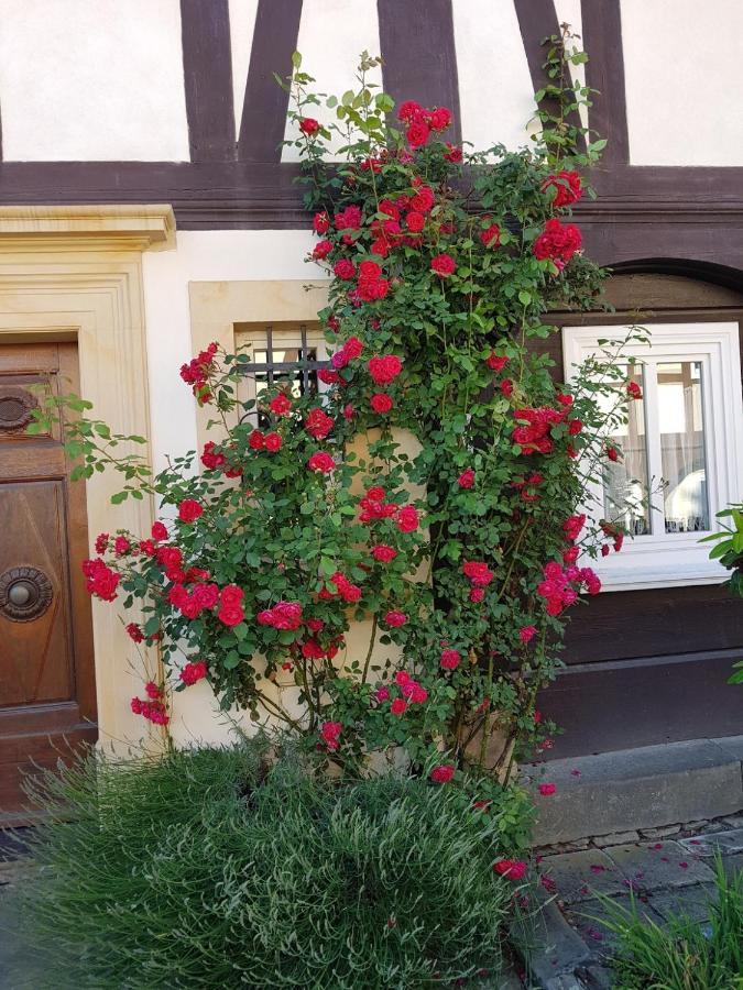 Fewo Niedere Muehlwiese Apartment Großschönau Exterior foto